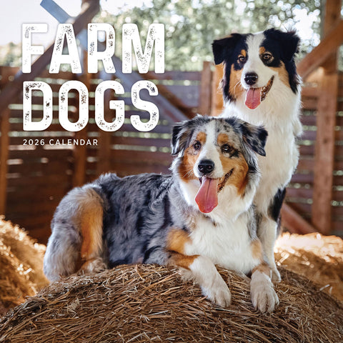 Farm Dogs 2026 Calendar Cover