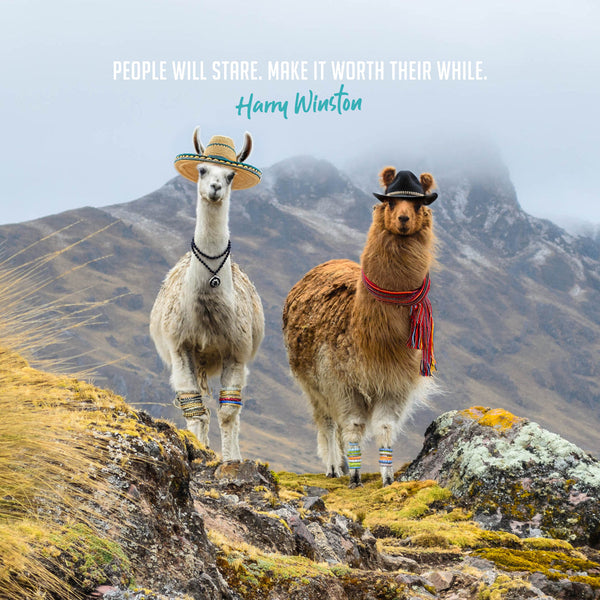 Fashion Llamas 2026 Calendar Internal Image