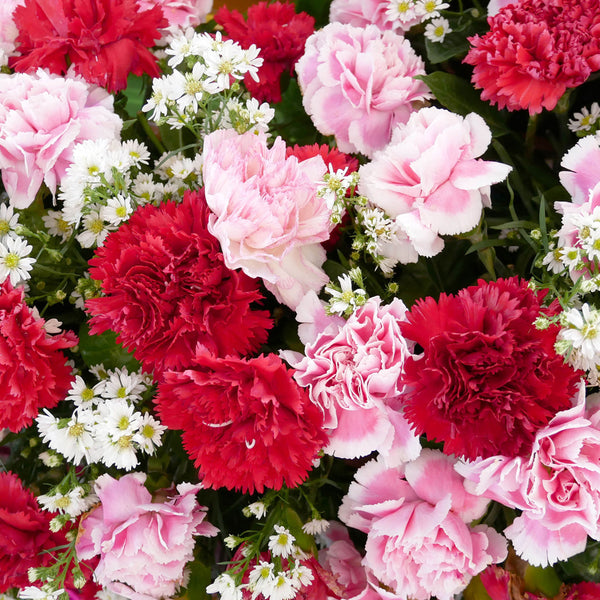 Flower Of The Month 2026 Calendar Internal Image