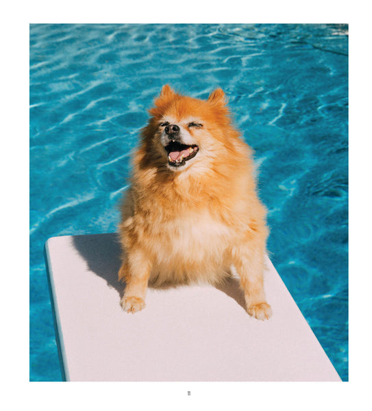 Dogs Life 2026 Diary January