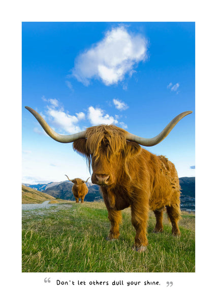 Highland Cows 2026 Diary Internal Image