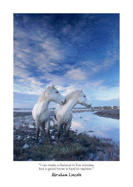 Wild Horses 2026 Diary Internal Image