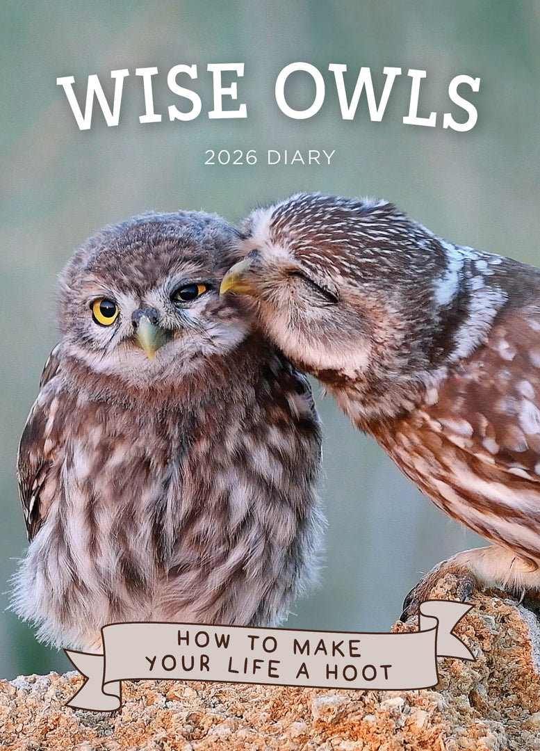 Wise Owls 2026 Diary Cover