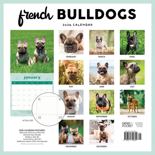 French Bulldogs 2026 Calendar Monthly Overview