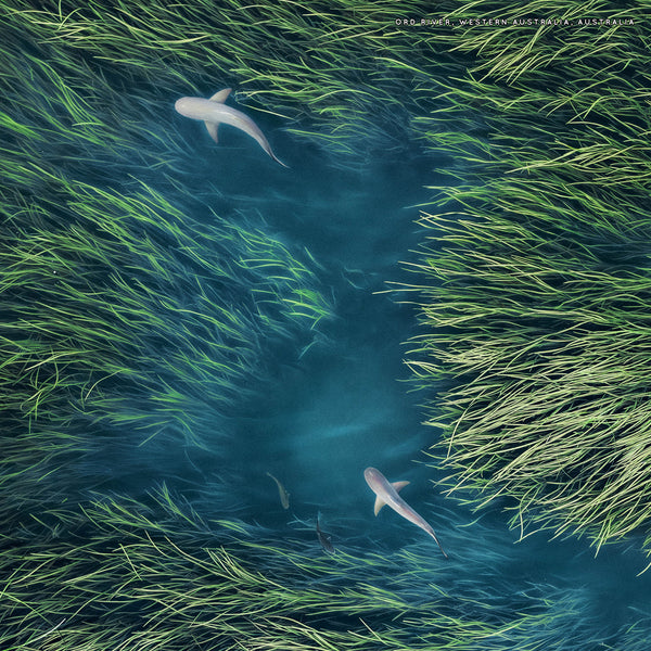 Greatest Drone Shots 2026 Calendar Internal Image