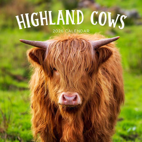 Highland Cows 2026 Calendar Cover