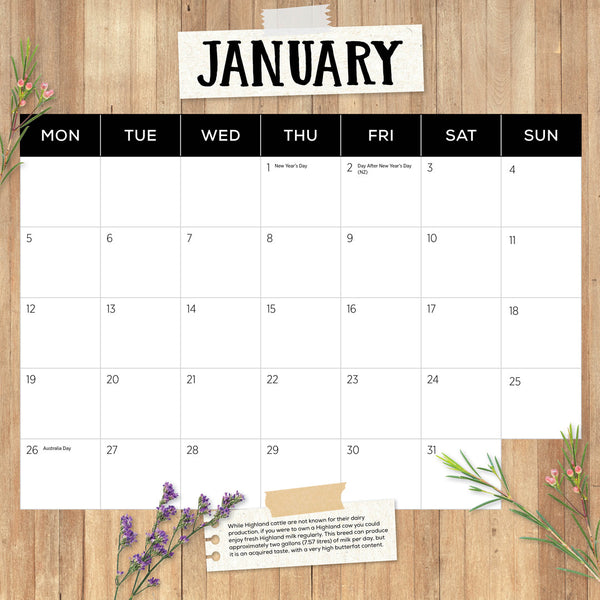 Highland Cows 2026 Calendar January