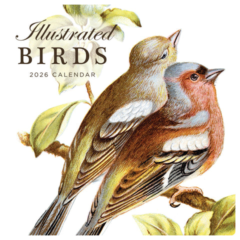 Illustrated Birds 2026 Calendar Cover