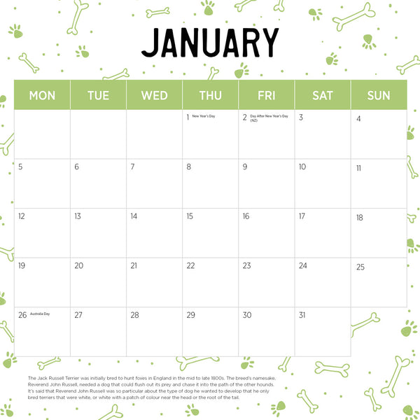 Jack Russells 2026 Calendar January
