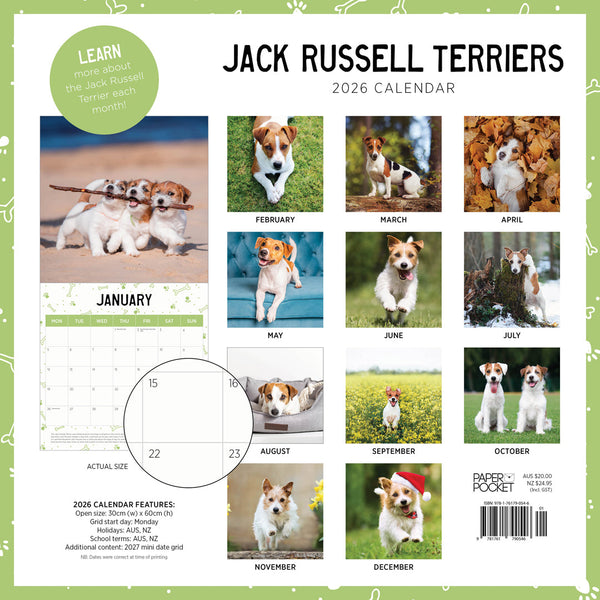 Jack Russells 2026 Calendar Monthly Overview