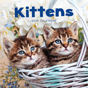 Kittens 2026 Calendar Cover