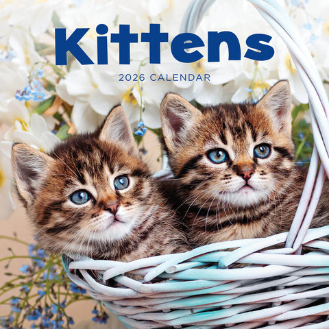 Kittens 2026 Calendar Cover