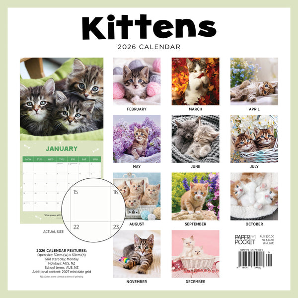 Kittens 2026 Calendar Back Cover