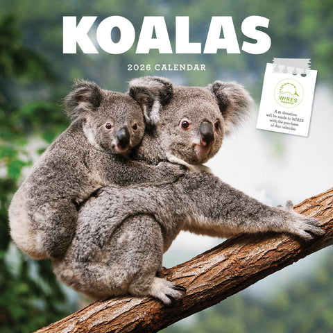 Koalas 2026 Calendar Cover