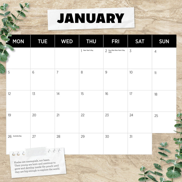 Koalas 2026 Calendar January