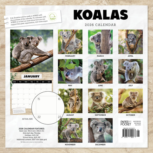 Koalas 2026 Calendar Back Cover