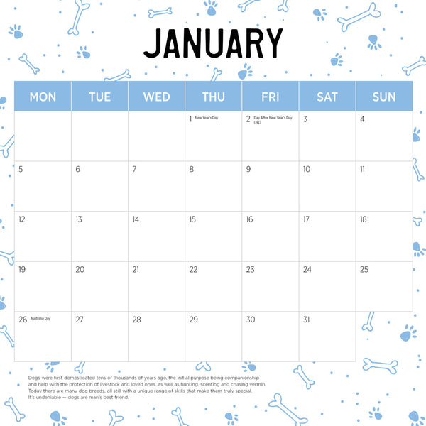 Labrador Retriever 2026 Calendar January