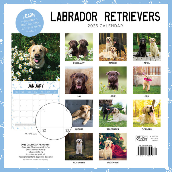 Labrador Retriever 2026 Calendar Monthly Overview