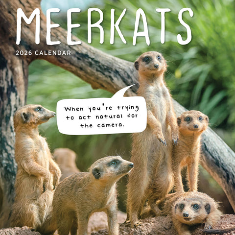 Meerkats 2026 Calendar Cover