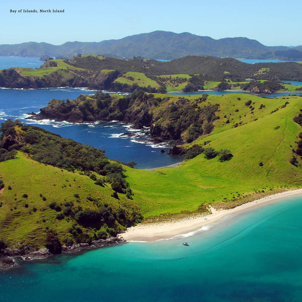 New Zealand 2026 Calendar Internal Image
