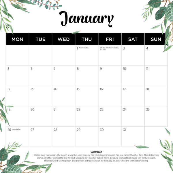 Our Australia Native Animals 2026 Calendar January