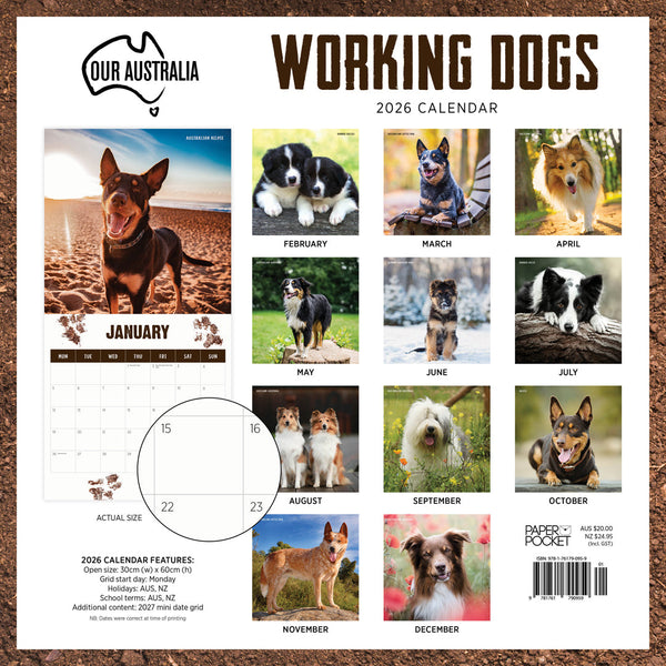 Our Australia Working Dogs 2026 Calendar Monthly Overview