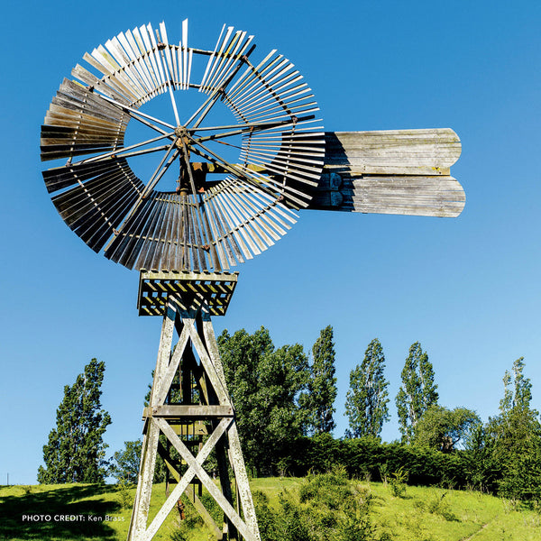 Our Australia Country Collections 2026 Calendar Internal Image