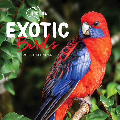 Our Australia Exotic Birds 2026 Calendar Cover