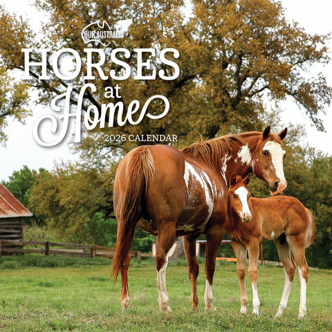 Our Australia Horses At Home 2026 Calendar Cover