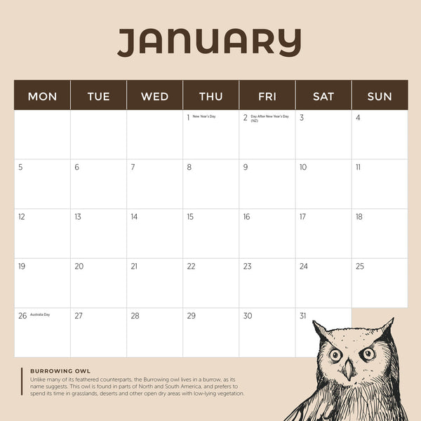 Owls 2026 Calendar January