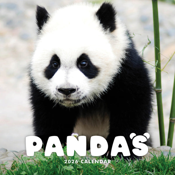 Pandas 2026 Calendar Cover
