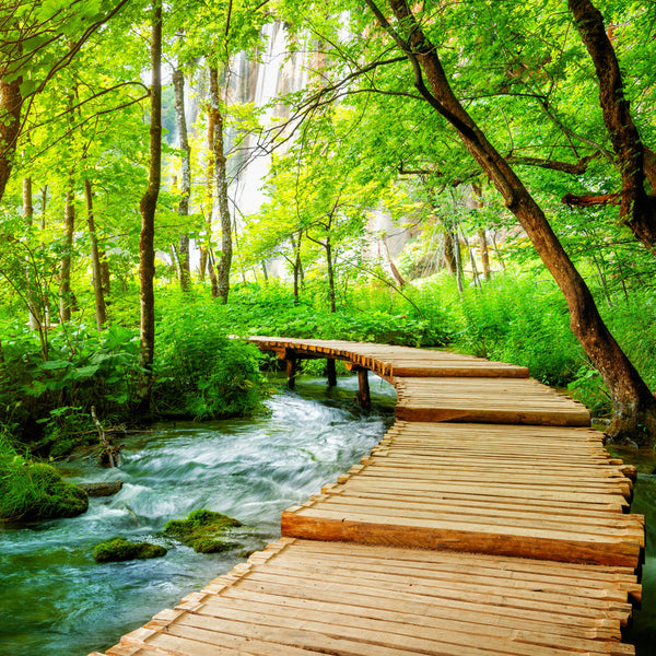 Pathways Of The World 2026 Calendar Internal Image