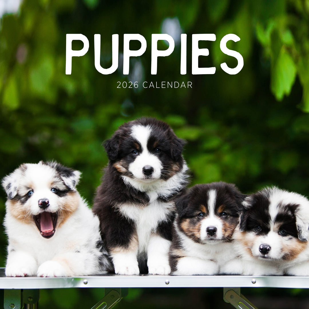 Puppies 2026 Calendar Cover