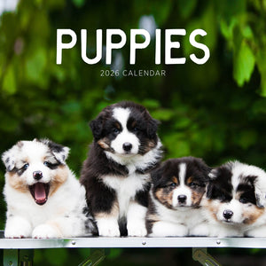 Puppies 2026 Calendar Cover