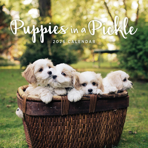 Puppies In A Pickle 2026 Calendar Cover