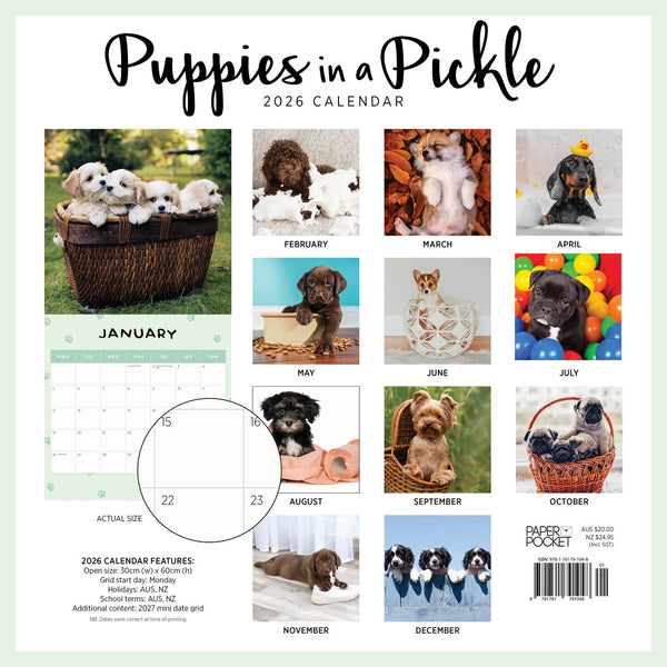 Puppies In A Pickle 2026 Calendar Monthly Overview