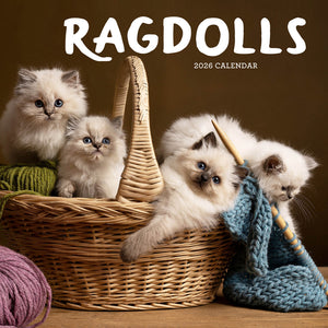 Ragdolls 2026 Calendar Cover