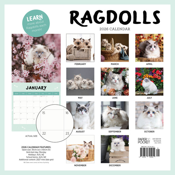 Ragdolls 2026 Calendar Back Cover