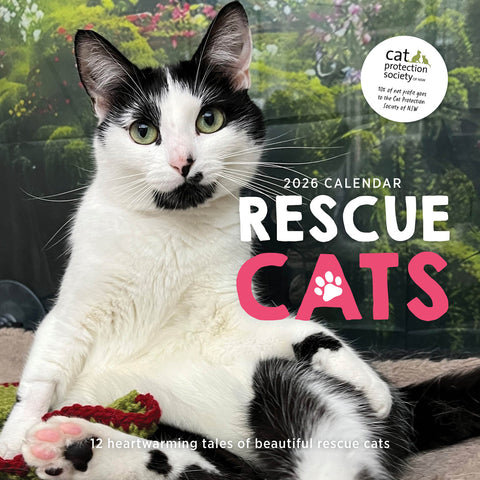 Rescue Cats 2026 Calendar Cover