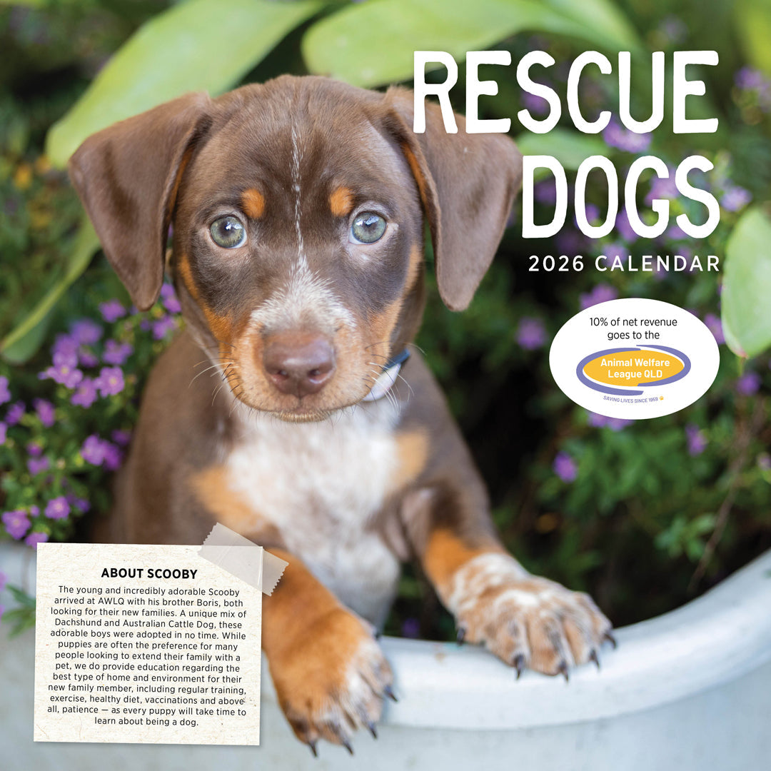 Rescue Dogs 2026 Calendar Cover