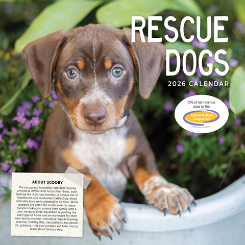 Rescue Dogs 2026 Calendar Cover