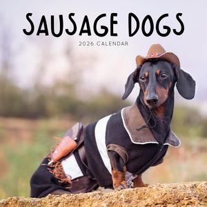 Sausage Dogs 2026 Calendar Cover