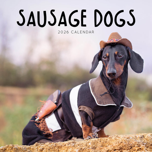 Sausage Dogs 2026 Calendar Cover