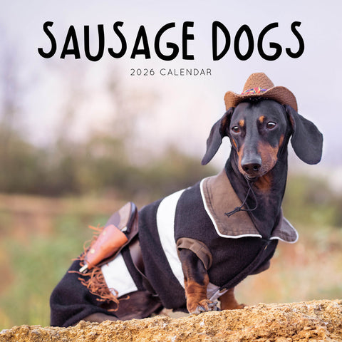 Sausage Dogs 2026 Calendar Cover