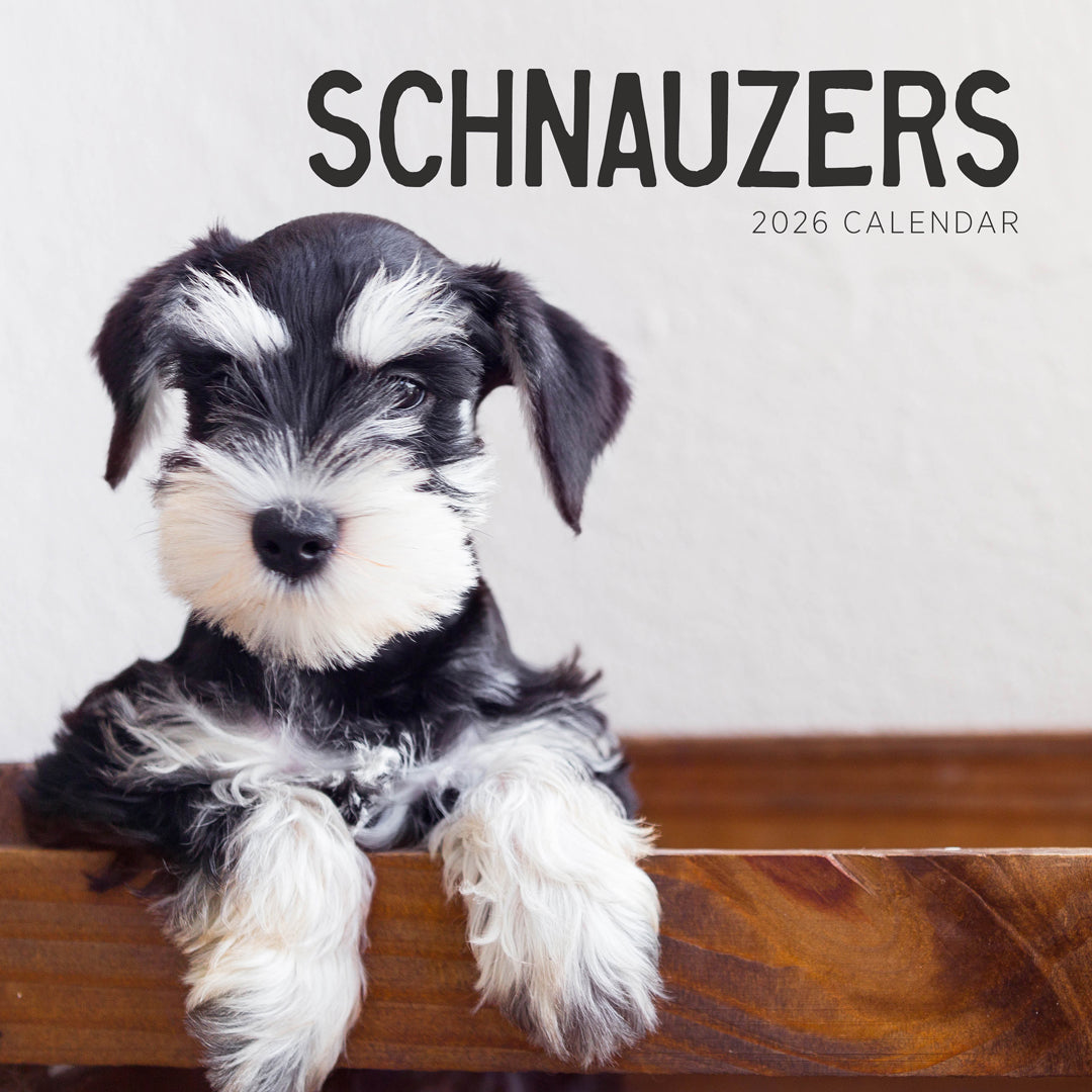 Schnauzers 2026 Calendar Cover