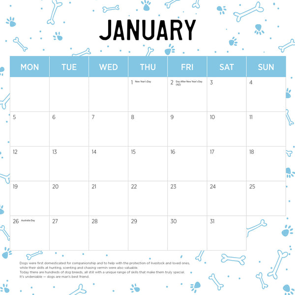 Schnauzers 2026 Calendar January