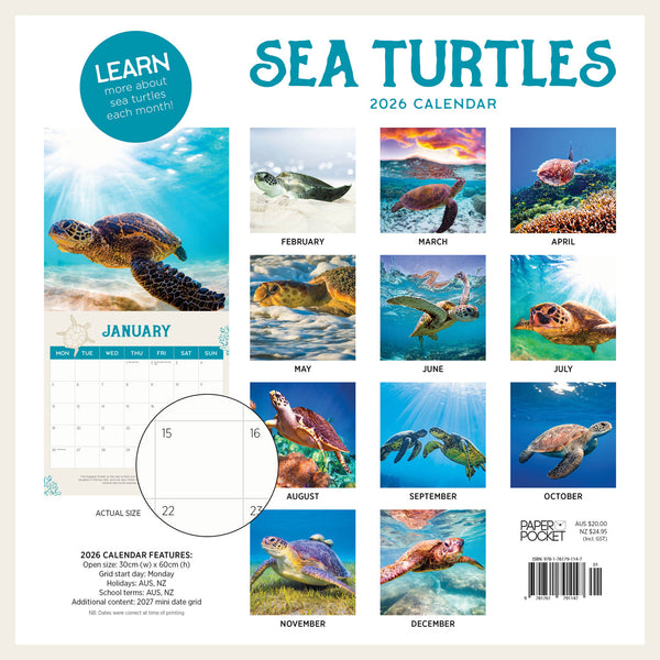 Sea Turtles 2026 Calendar Monthly Overview
