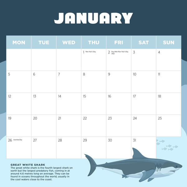 Sharks 2026 Calendar January