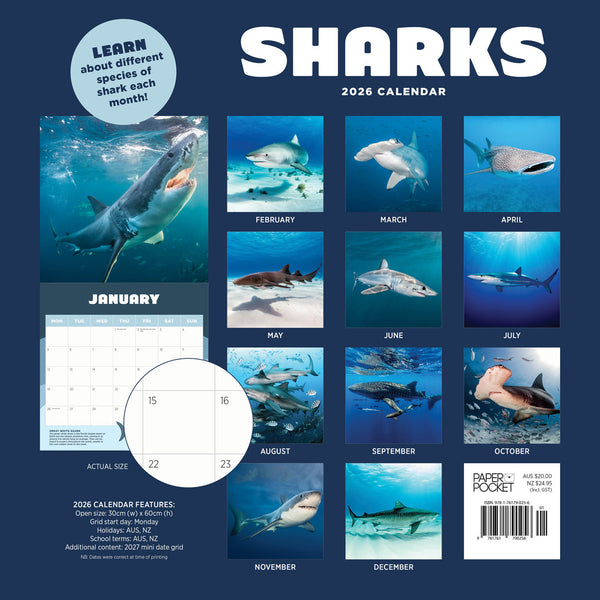 Sharks 2026 Calendar Back Cover