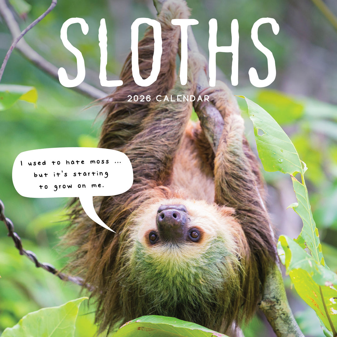 Sloths 2026 Calendar Cover